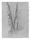 Study of Birch Trunks (Scribners') by Jervis McEntee
